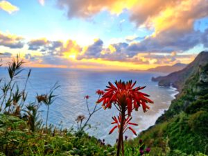 Gruppenreise Madeira