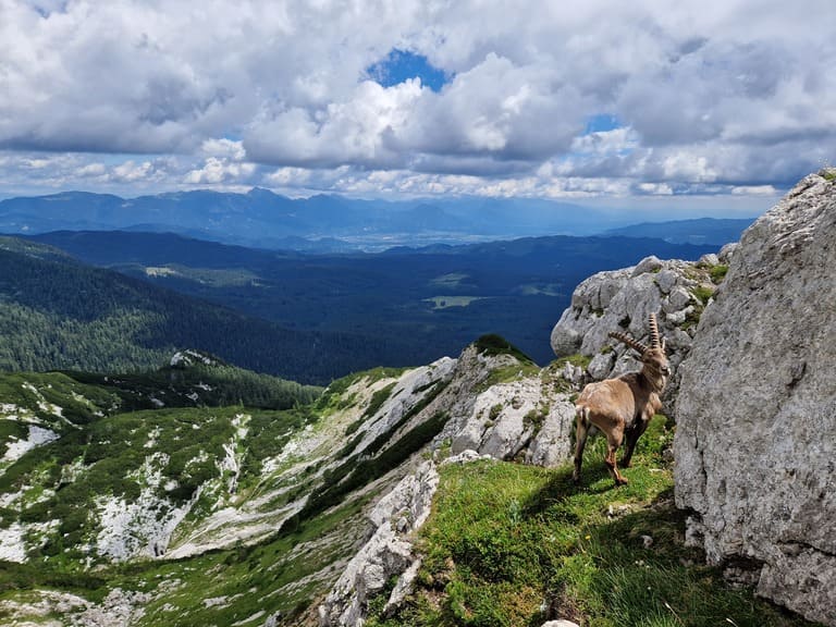 Wanderurlaub Slowenien